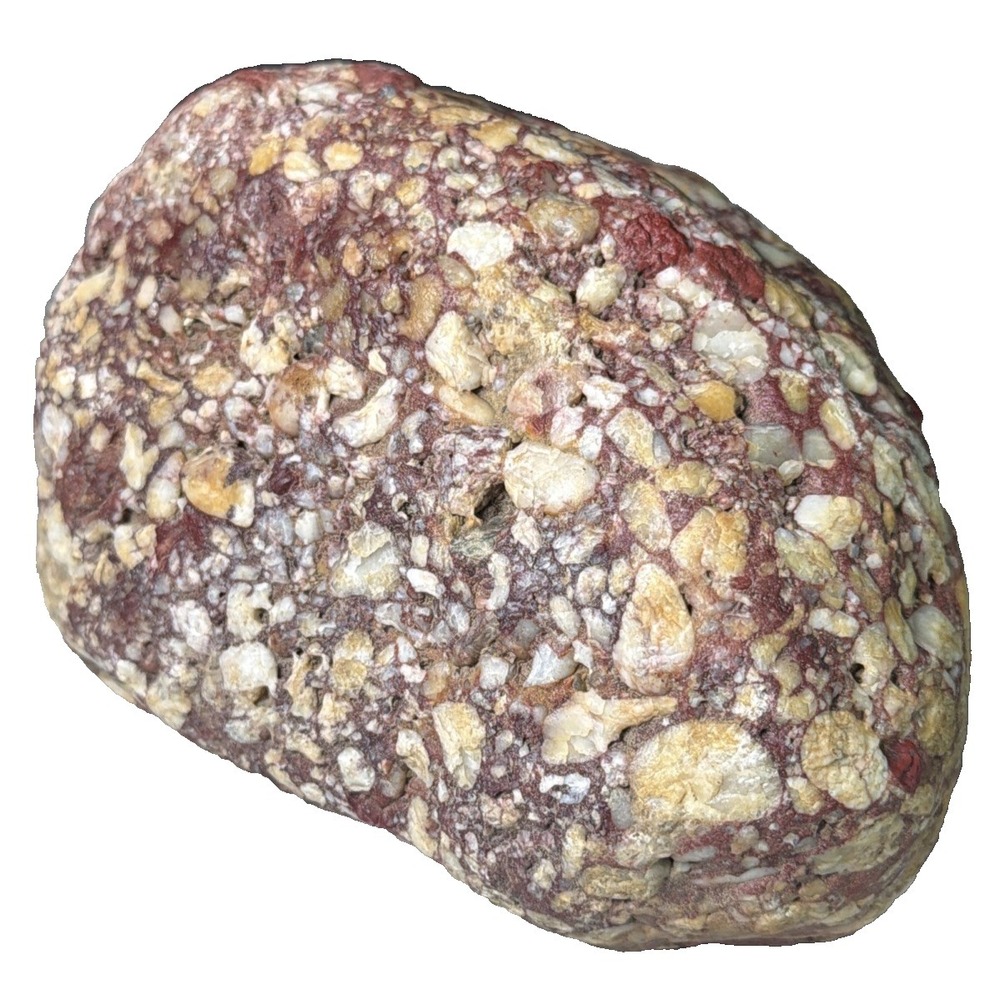 7.9 lb Michigan Pudding stone Red Mixed Colors